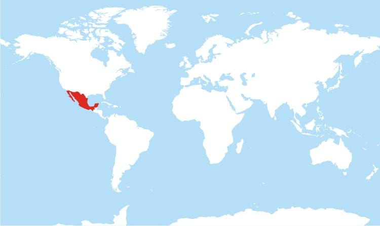 térkép Mexikó globális