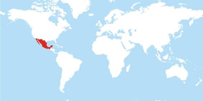 Térkép Mexikó globális